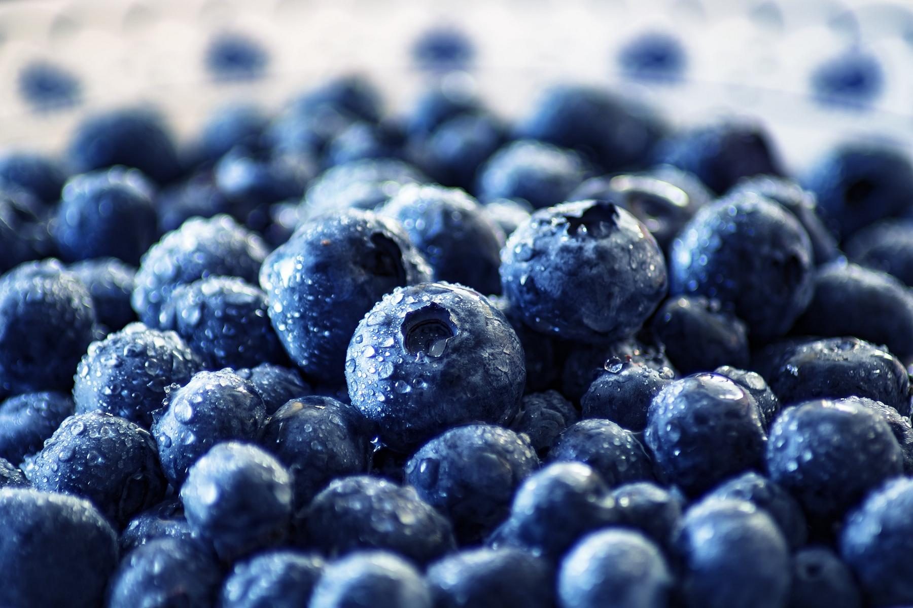 Blaubeeren Rawvegangreen Blaubeeren Rawvegangreen